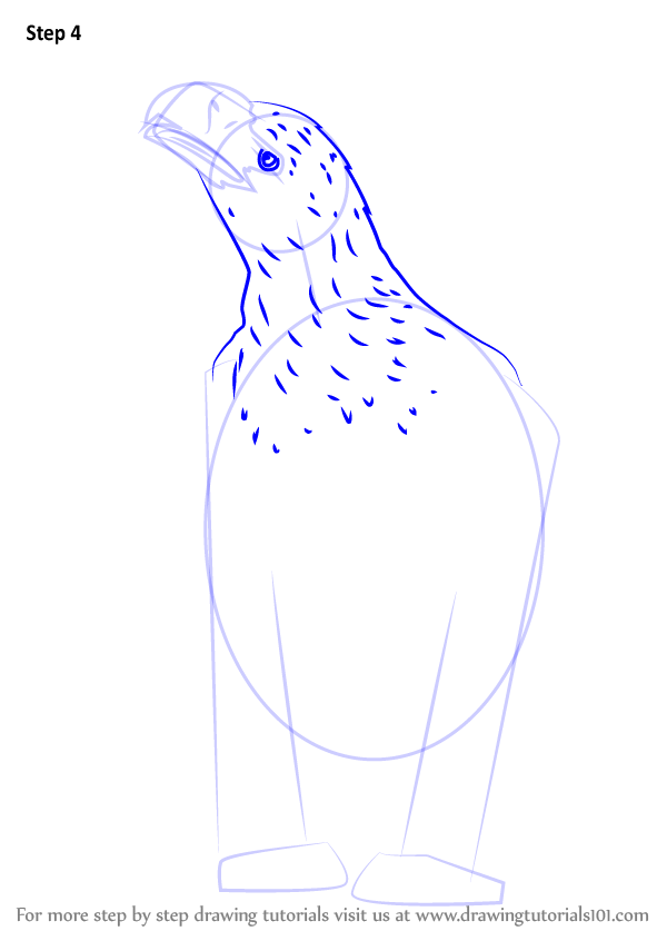 to step draw how by step bird Eagle How an prey) of by Learn Draw Step (Bird Sitting to to step draw how by step bird Eagle How an prey) of by Learn Draw Step (Bird Sitting to