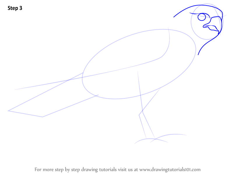 How To Draw A Falcon