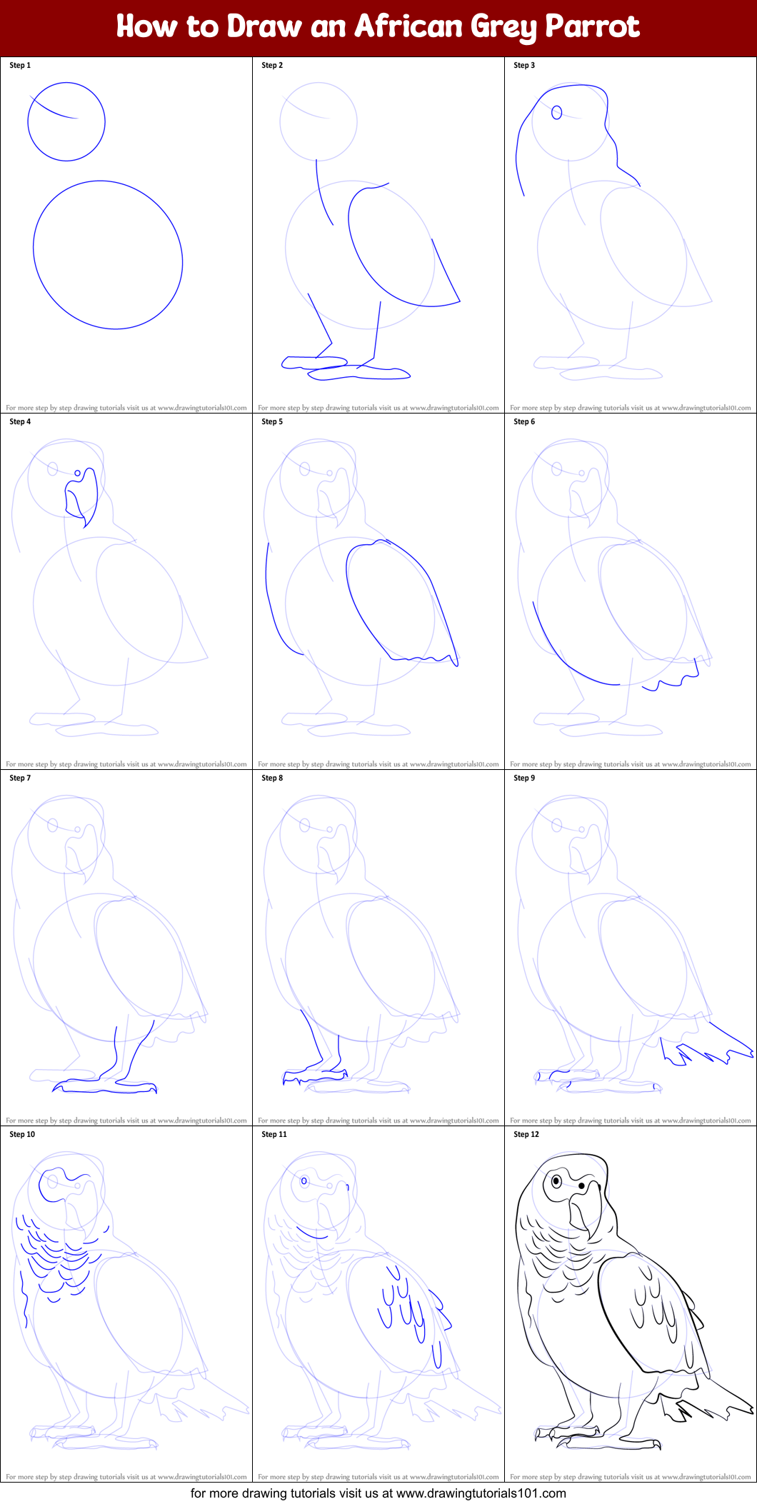 How to Draw an African Grey Parrot printable step by step drawing sheet