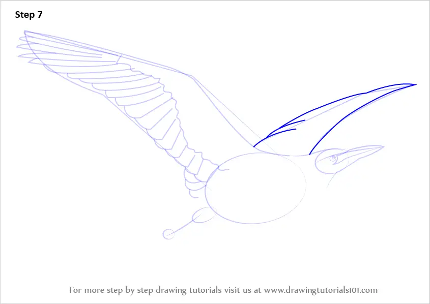 How to Draw an American Bittern in Flight (Birds) Step by Step ...