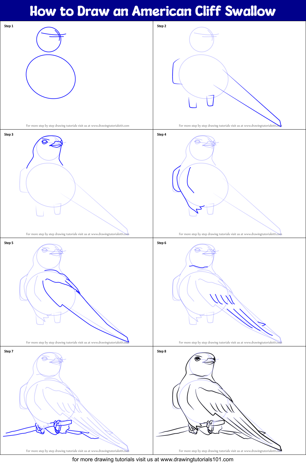 How to Draw an American Cliff Swallow Printable Step by Step
