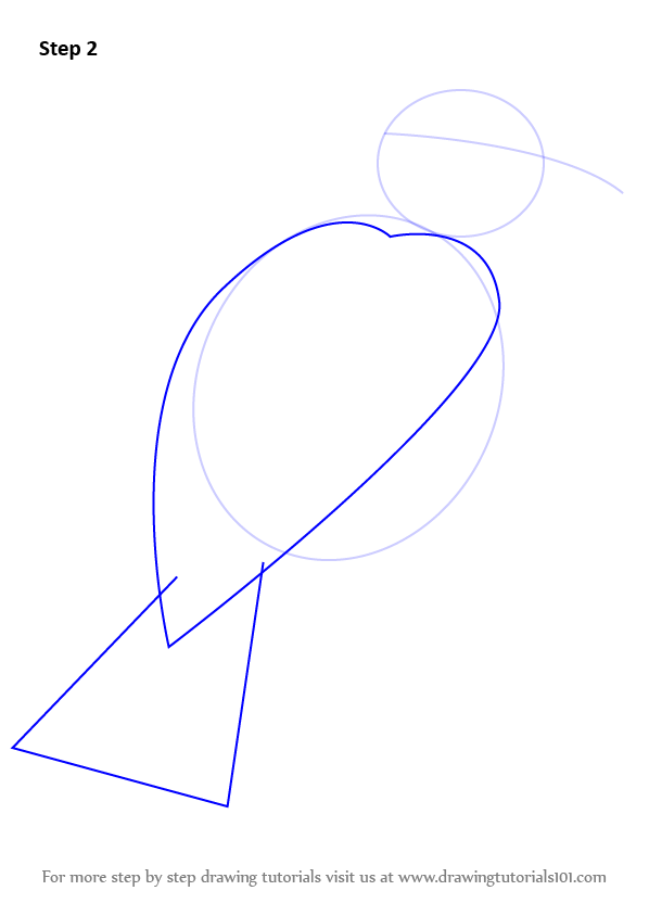 How to Draw an American Goldfinch (Birds) Step by Step