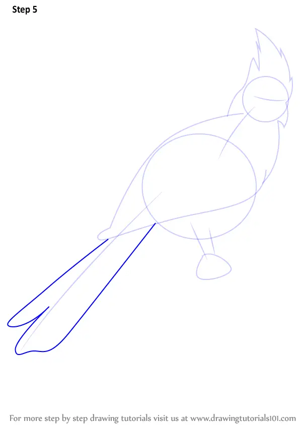draw step faced bare bird away drawing tail