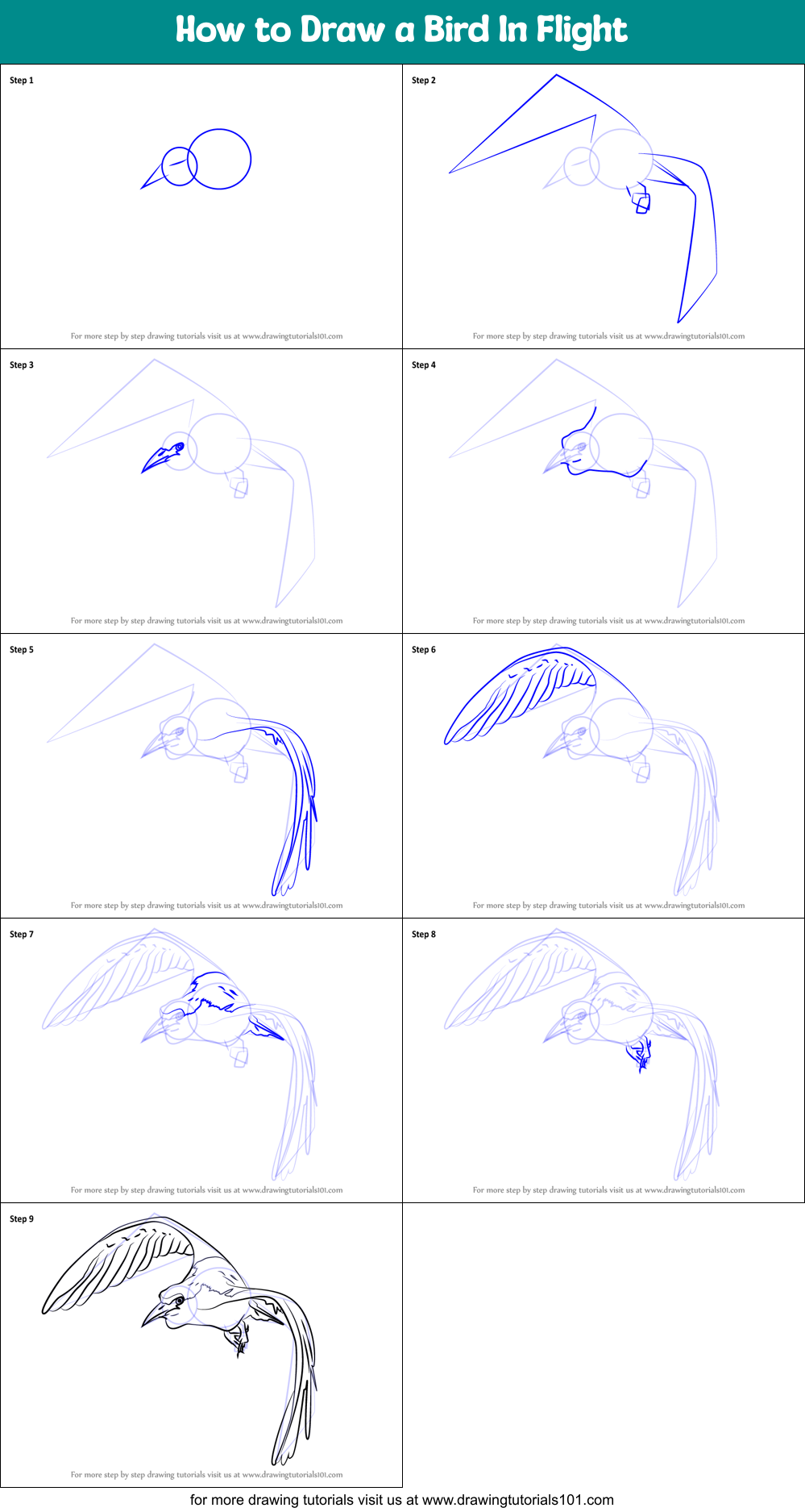 How to Draw a Bird In Flight printable step by step drawing sheet