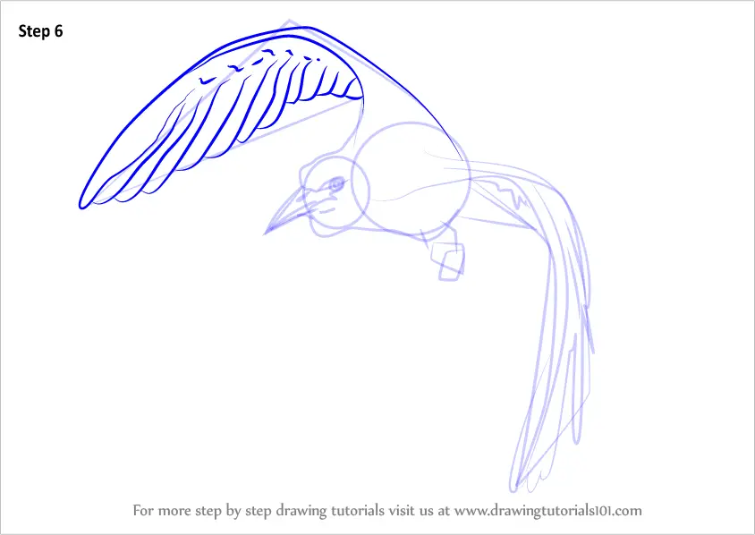 Learn How to Draw a Bird In Flight (Birds) Step by Step : Drawing Tutorials