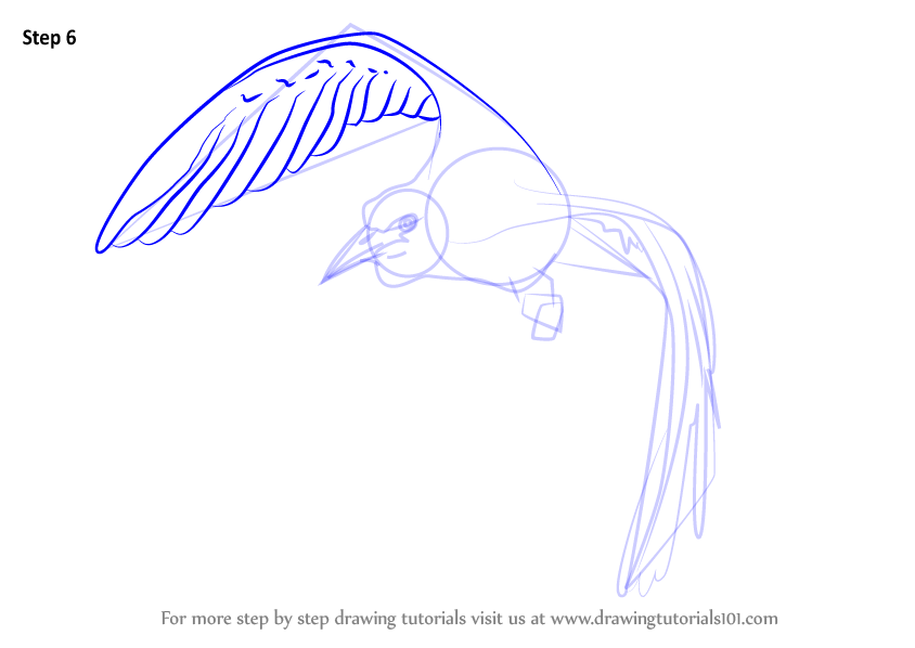 Learn How to Draw a Bird In Flight (Birds) Step by Step : Drawing Tutorials