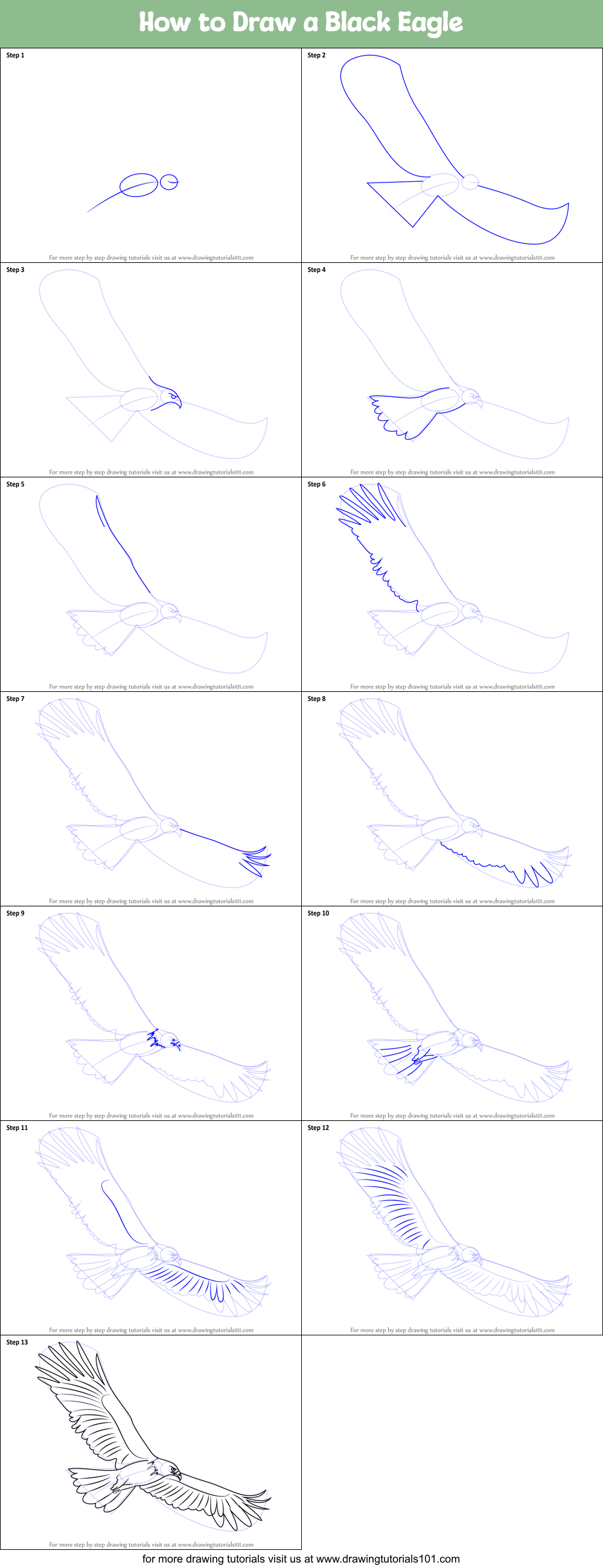 How to Draw a Black Eagle Printable Step by Step