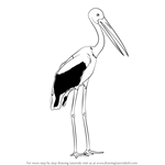 How to Draw a Black-Necked Stork