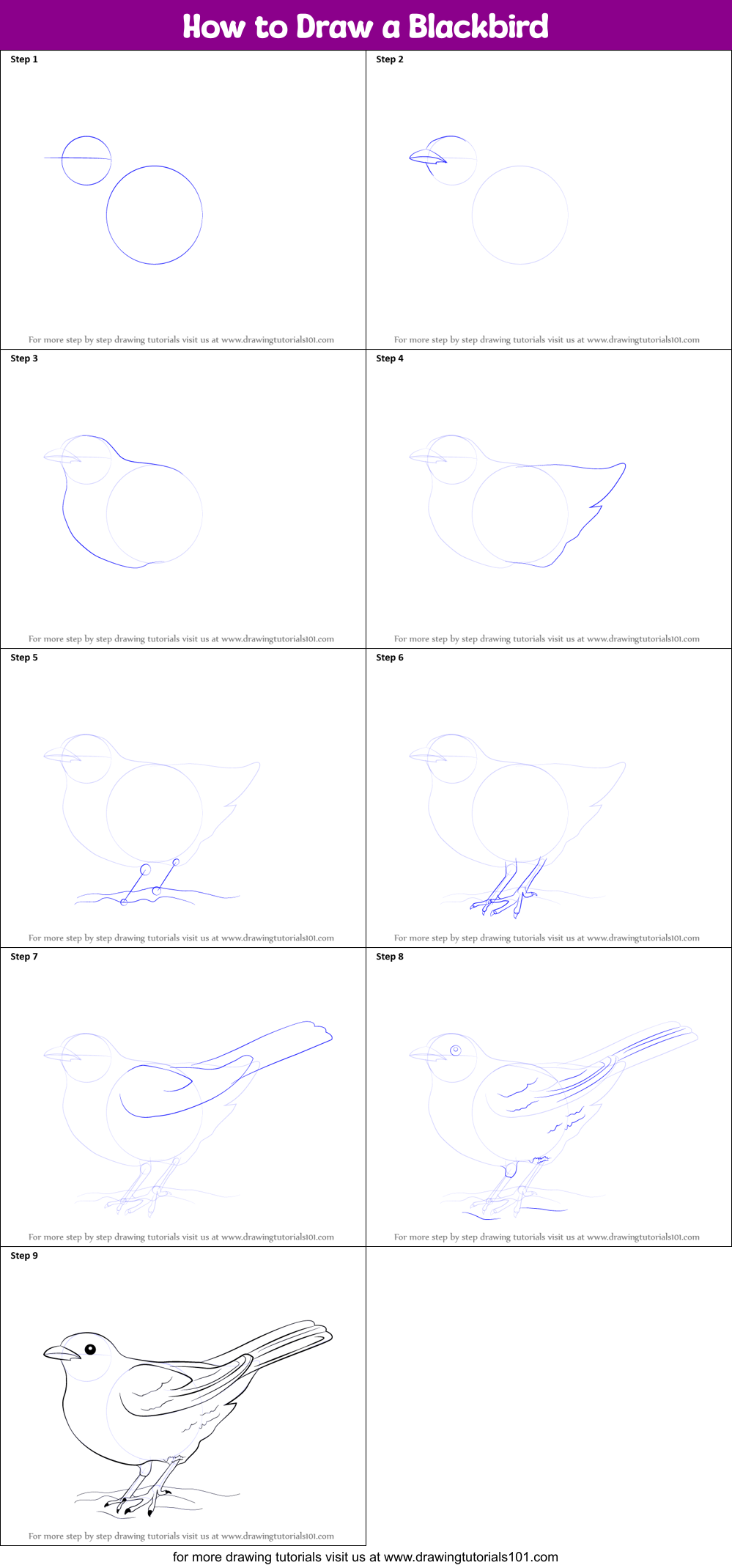How to Draw a Blackbird Printable Step by Step