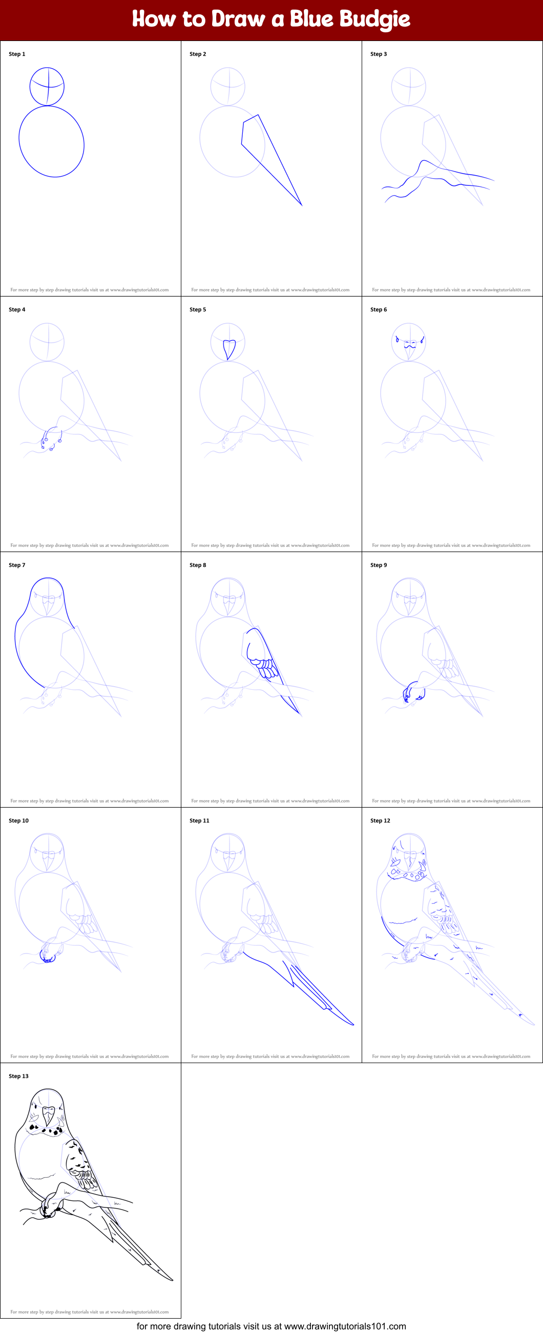 How to Draw a Blue Budgie Printable Step by Step