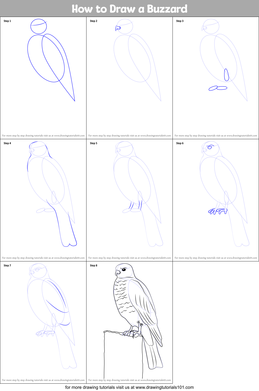 How to Draw a Buzzard Printable Step by Step