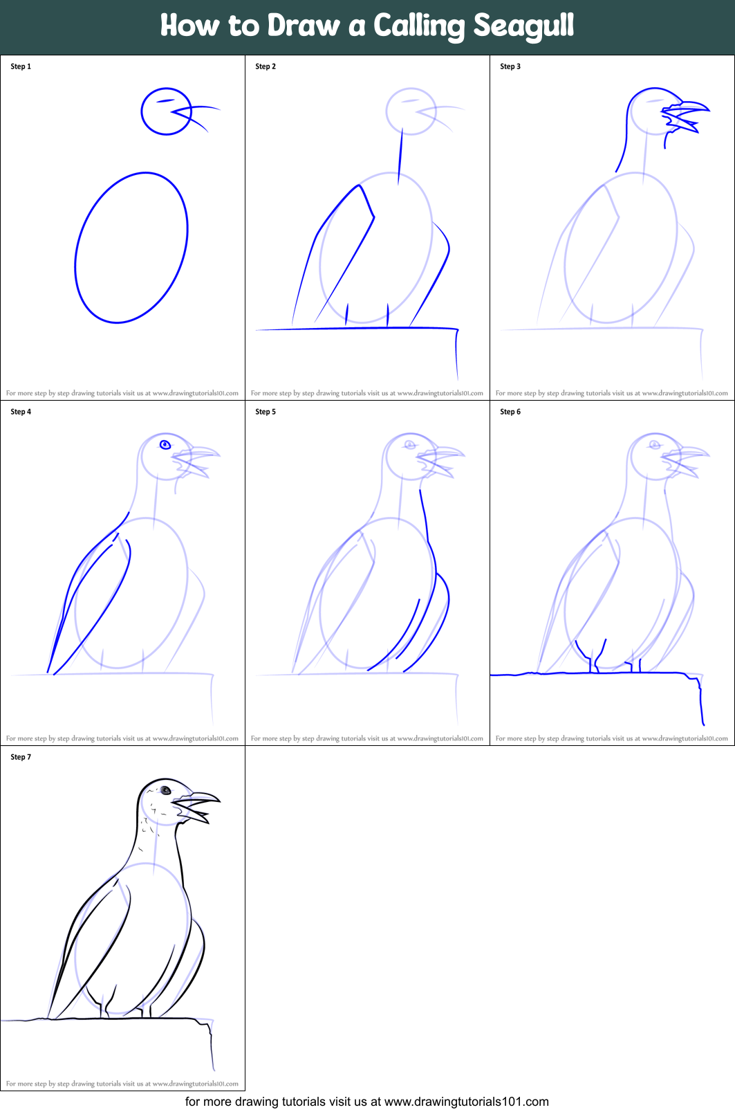 How to Draw a Calling Seagull Printable Step by Step