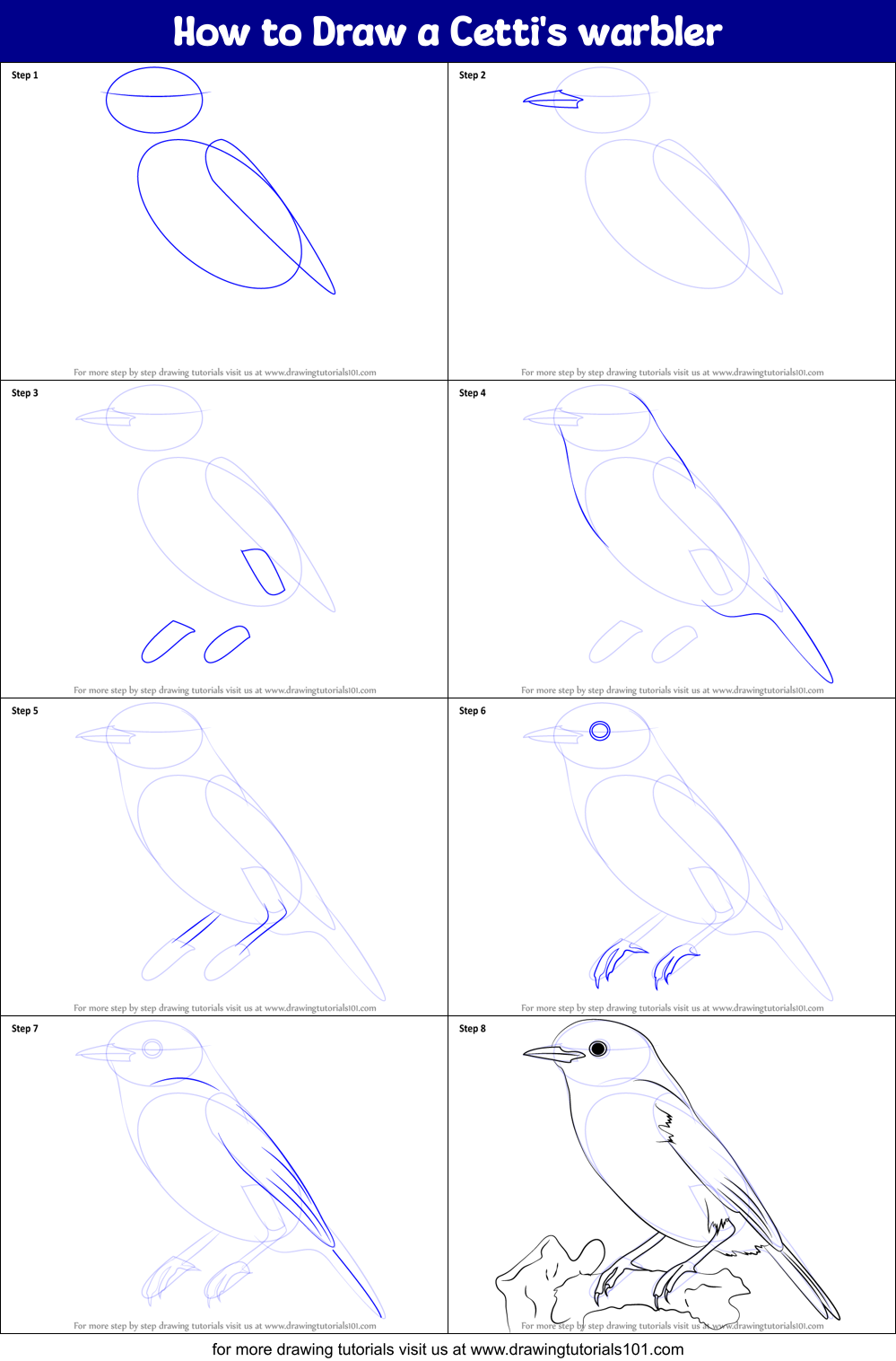 How to Draw a Cetti's warbler Printable Step by Step