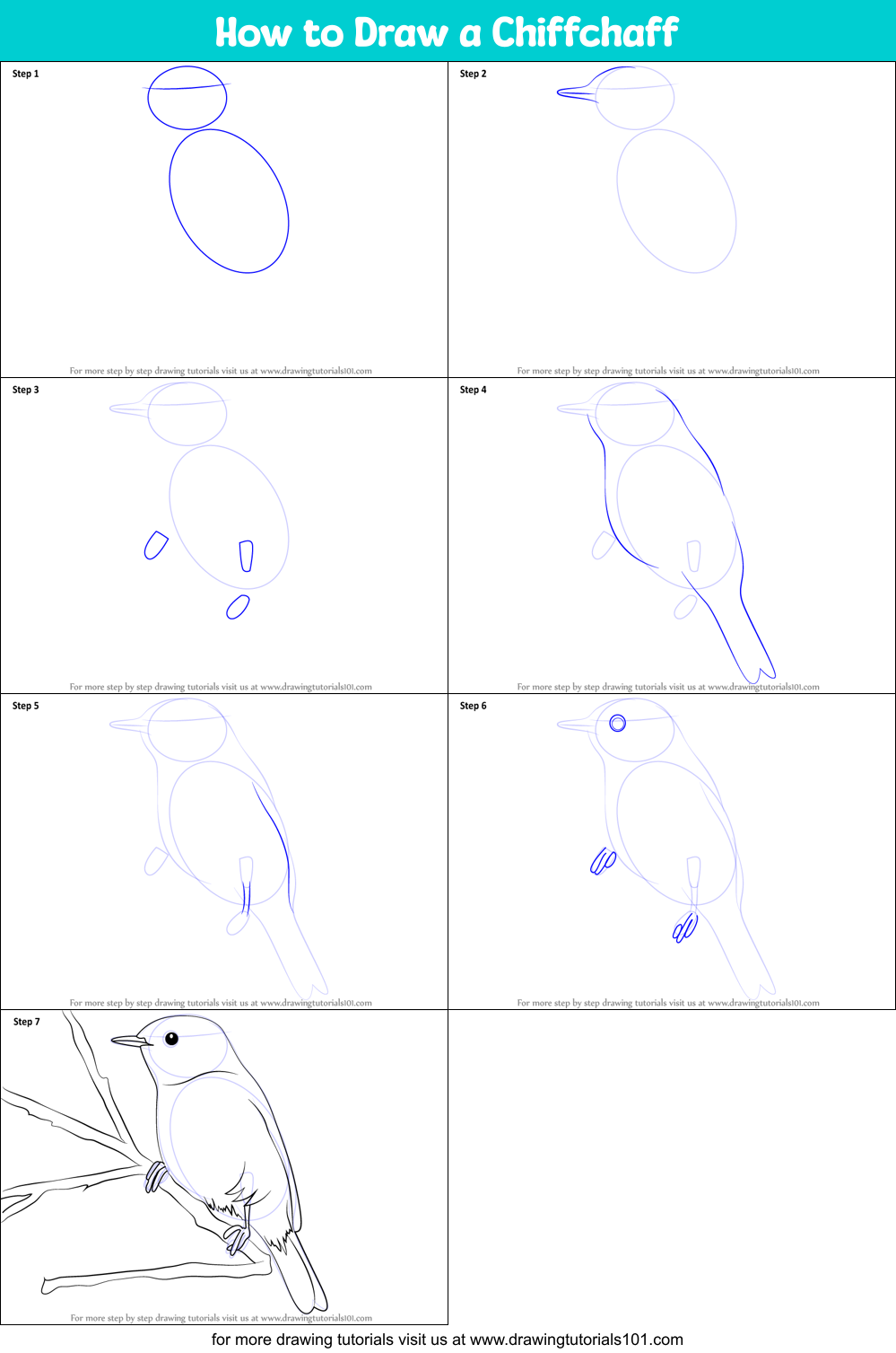How to Draw a Chiffchaff Printable Step by Step