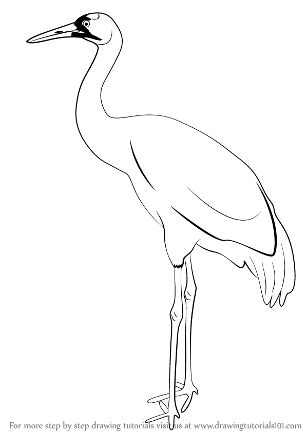 Sketch Of Crane Hand Drawn Illustration Converted To Vector Stock  Illustration  Download Image Now  iStock