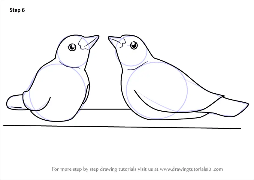 Step by Step How to Draw Cute Birds : DrawingTutorials101.com