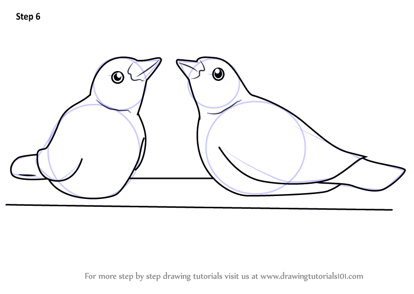 Step by Step How to Draw Cute Birds : DrawingTutorials101.com