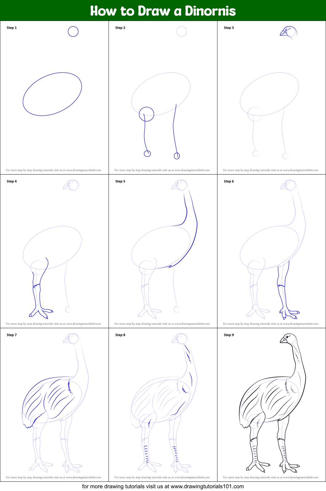 How to Draw a Dinornis Printable Step by Step