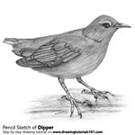 How to Draw a Dipper