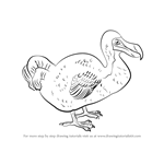 How to Draw a Dodo