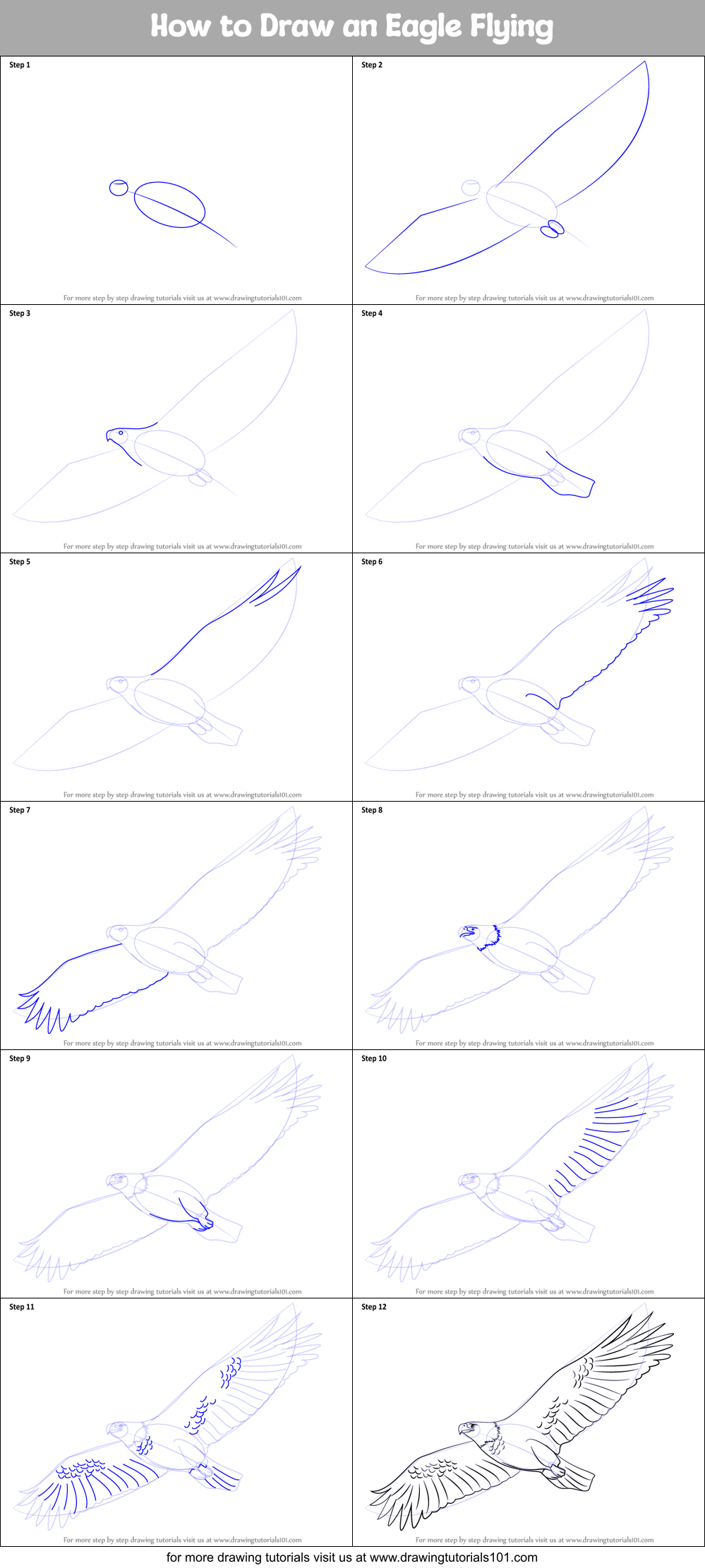 How to Draw an Eagle Flying printable step by step drawing sheet