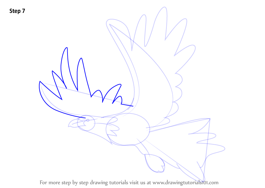 Learn How to Draw an Eagle for Kids (Birds) Step by Step : Drawing