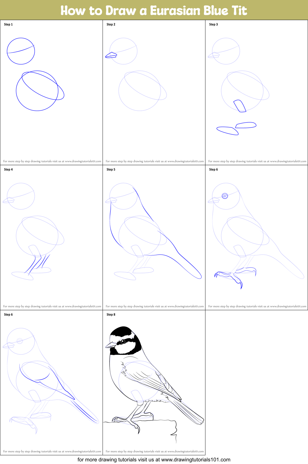 How to Draw a Eurasian Blue Tit Printable Step by Step