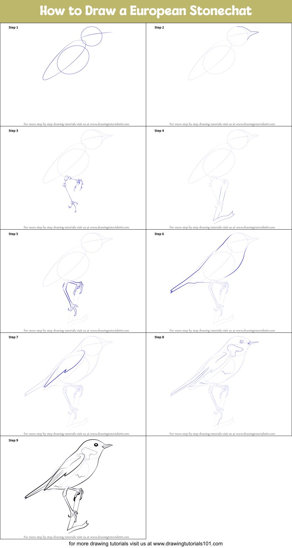 How to Draw a European Stonechat Printable Step by Step