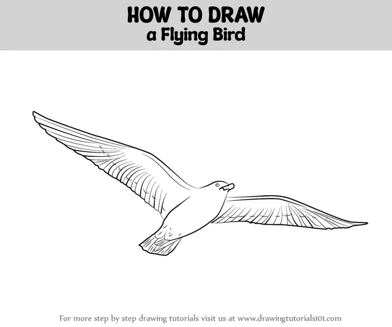 Premium Vector | Flying bird drawing by one continuous line isolated vector-saigonsouth.com.vn