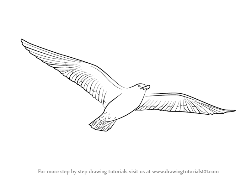 Aggregate 224+ flying bird sketch easy