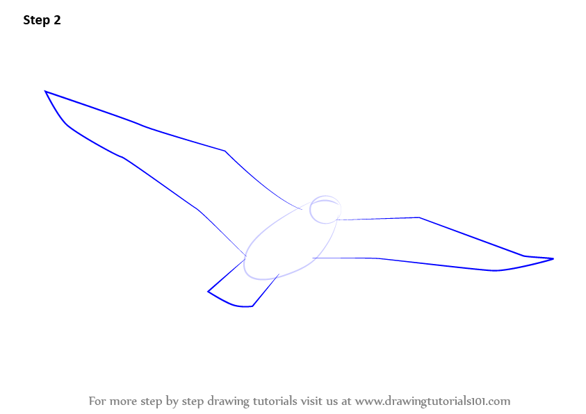 How to Draw a Flying Bird (Birds) Step by Step | DrawingTutorials101.com