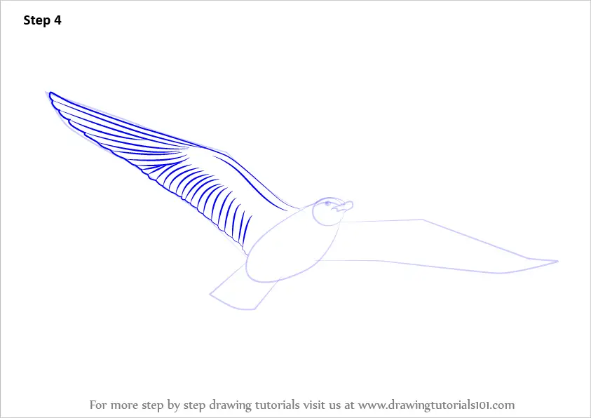 Learn How to Draw a Flying Bird (Birds) Step by Step : Drawing Tutorials