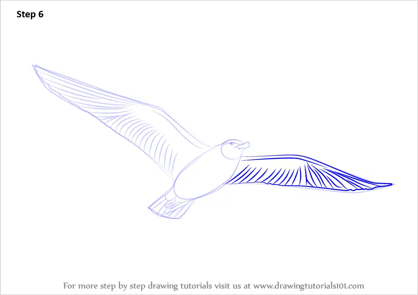 How to Draw a Flying Bird (Birds) Step by Step | DrawingTutorials101.com