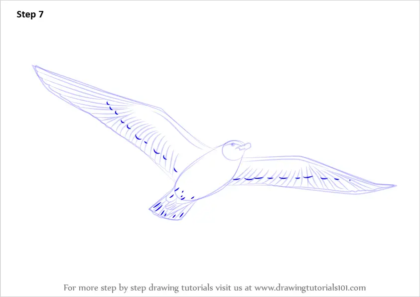 How to Draw a Flying Bird  Step by Step Easy Drawing Guides  Drawing  Howtos