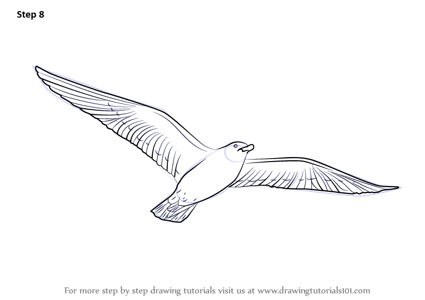 Featured image of post Easy To Draw Birds Flying