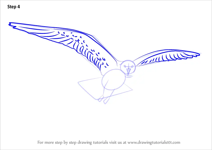 How to Draw a Flying Gull (Birds) Step by Step | DrawingTutorials101.com
