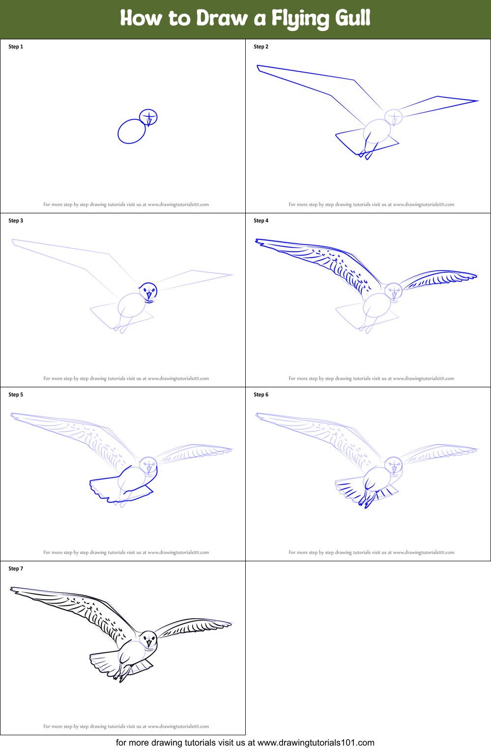 How to Draw a Flying Gull Printable Step by Step