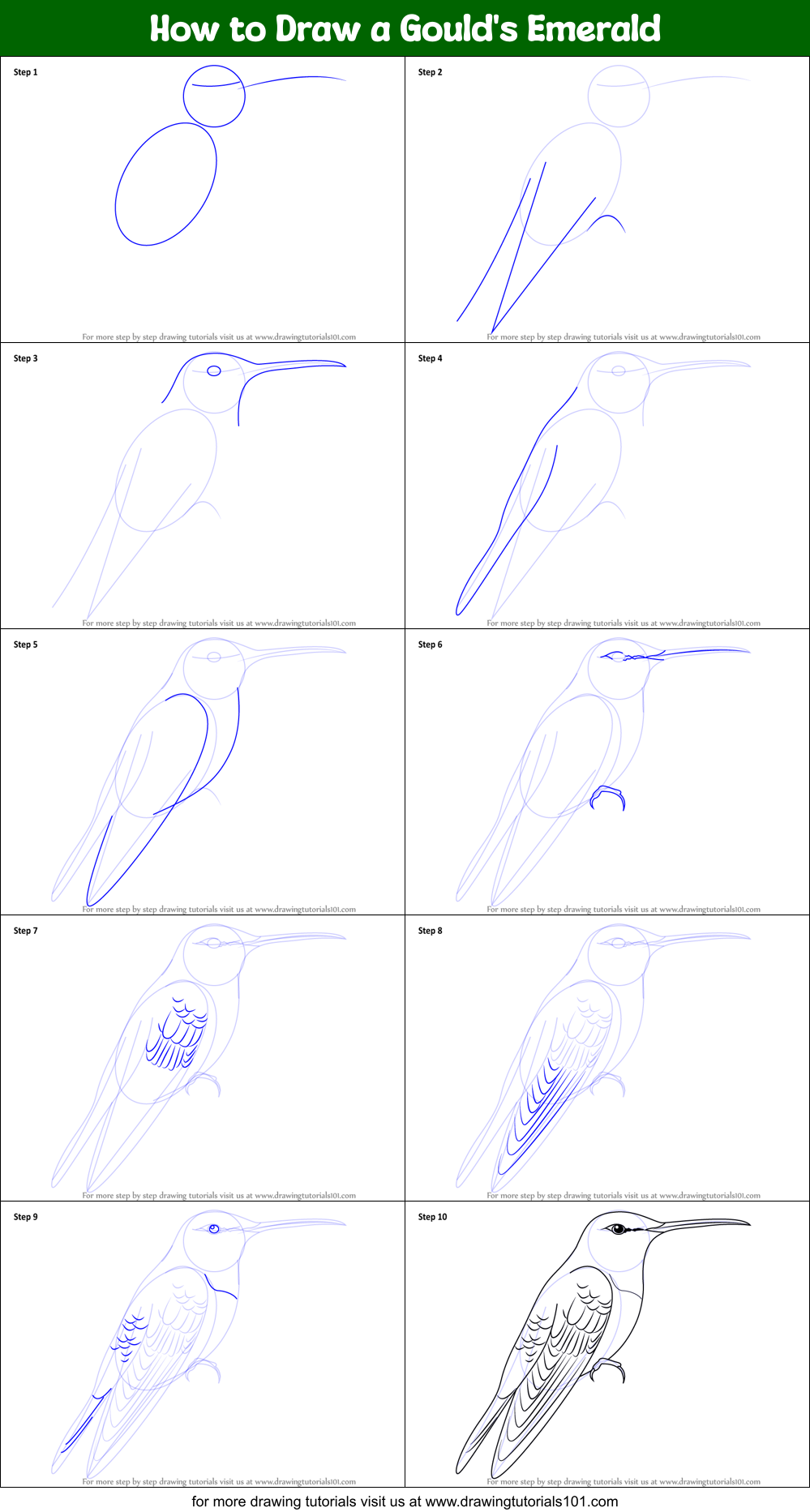 How to Draw a Gould's Emerald Printable Step by Step