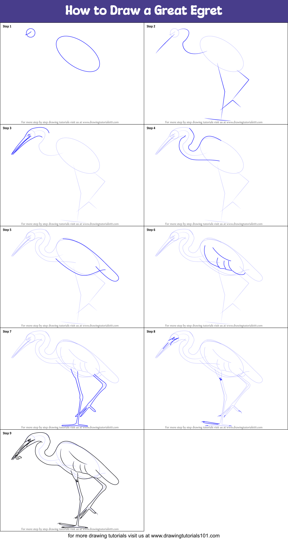 How to Draw a Great Egret printable step by step drawing sheet