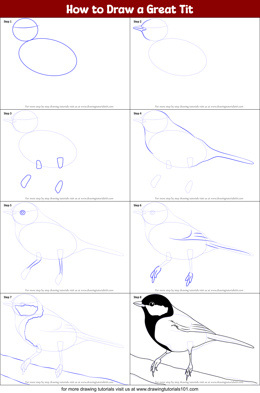 How to Draw a Great Tit Printable Step by Step