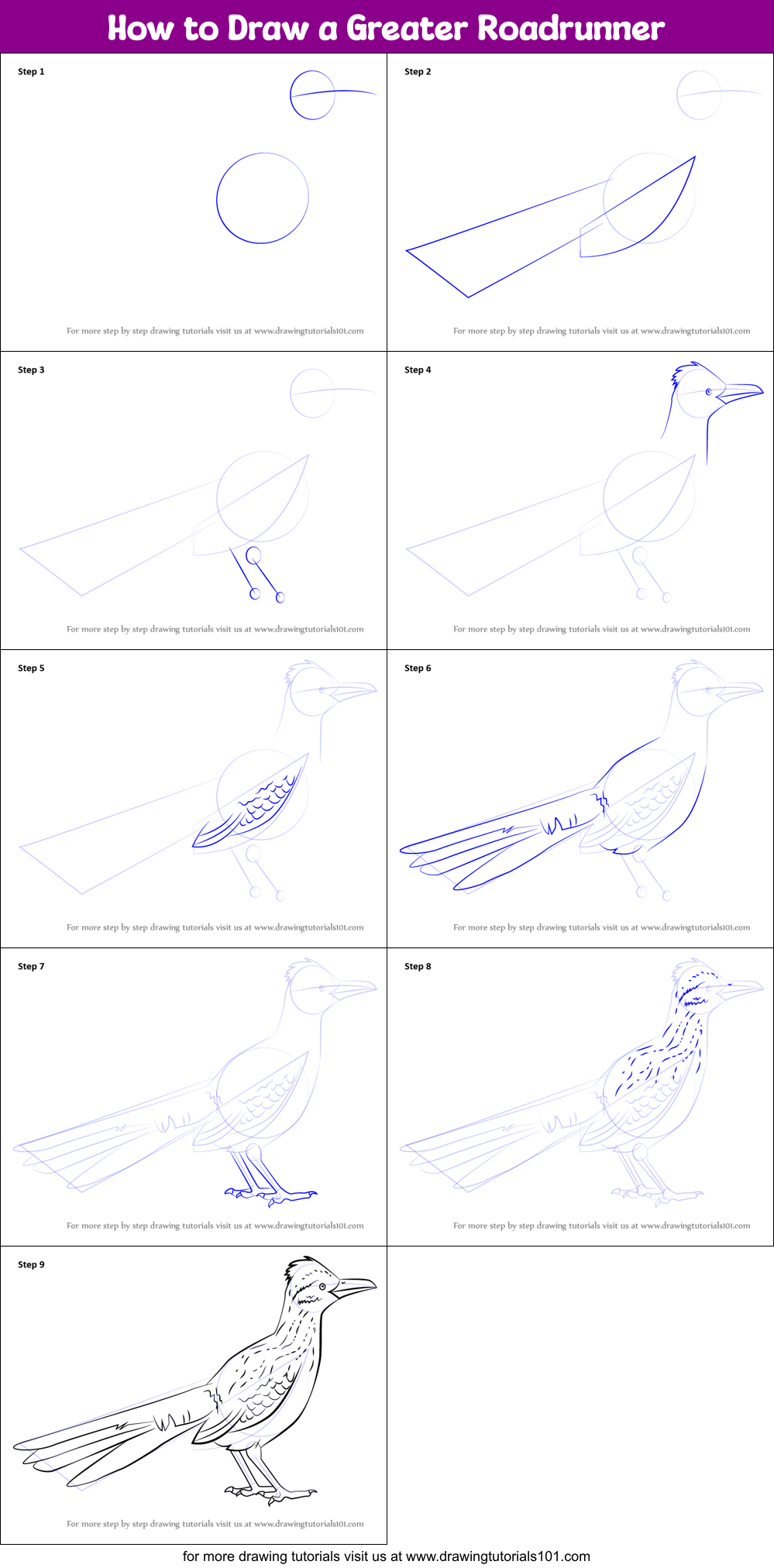 How to Draw a Greater Roadrunner printable step by step 