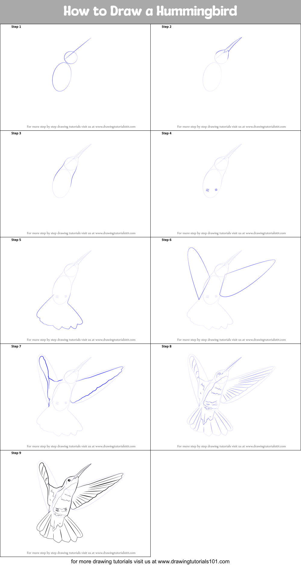 hummingbird draw step drawing easy sketch bird printable steps birds drawingtutorials101 drawings tutorials sheet learn
