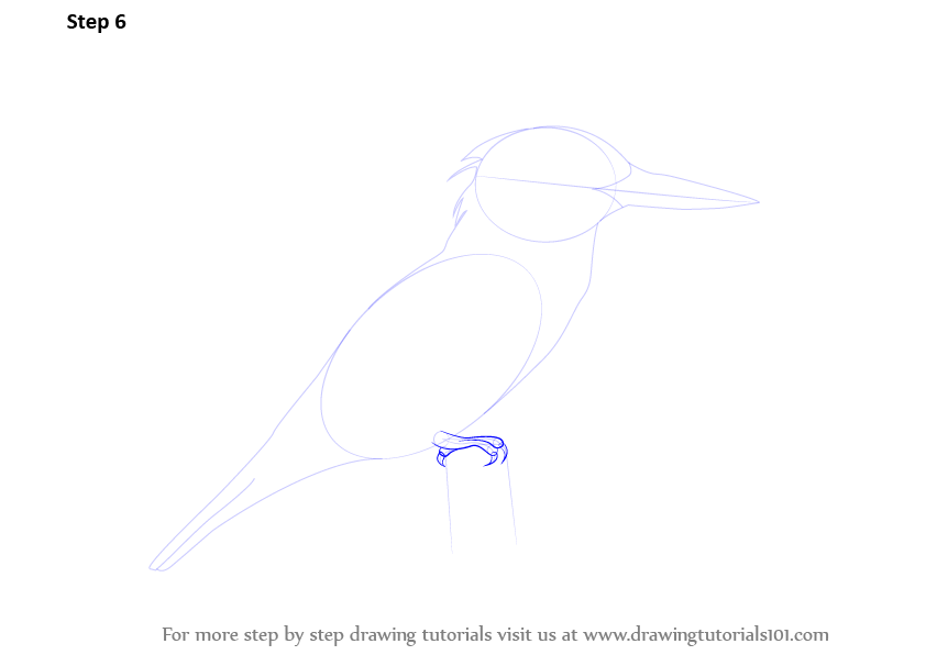 How To Draw A Kingfisher Birds Step By Step DrawingTutorials101 how-to-draw-a-kingfisher-birds-step-by-step-drawingtutorials101