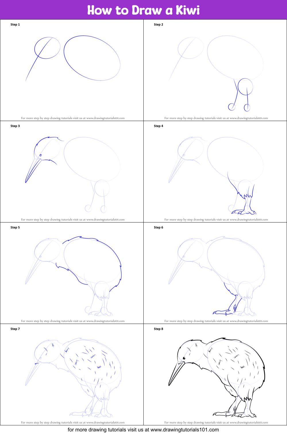 How to Draw a Kiwi Printable Step by Step
