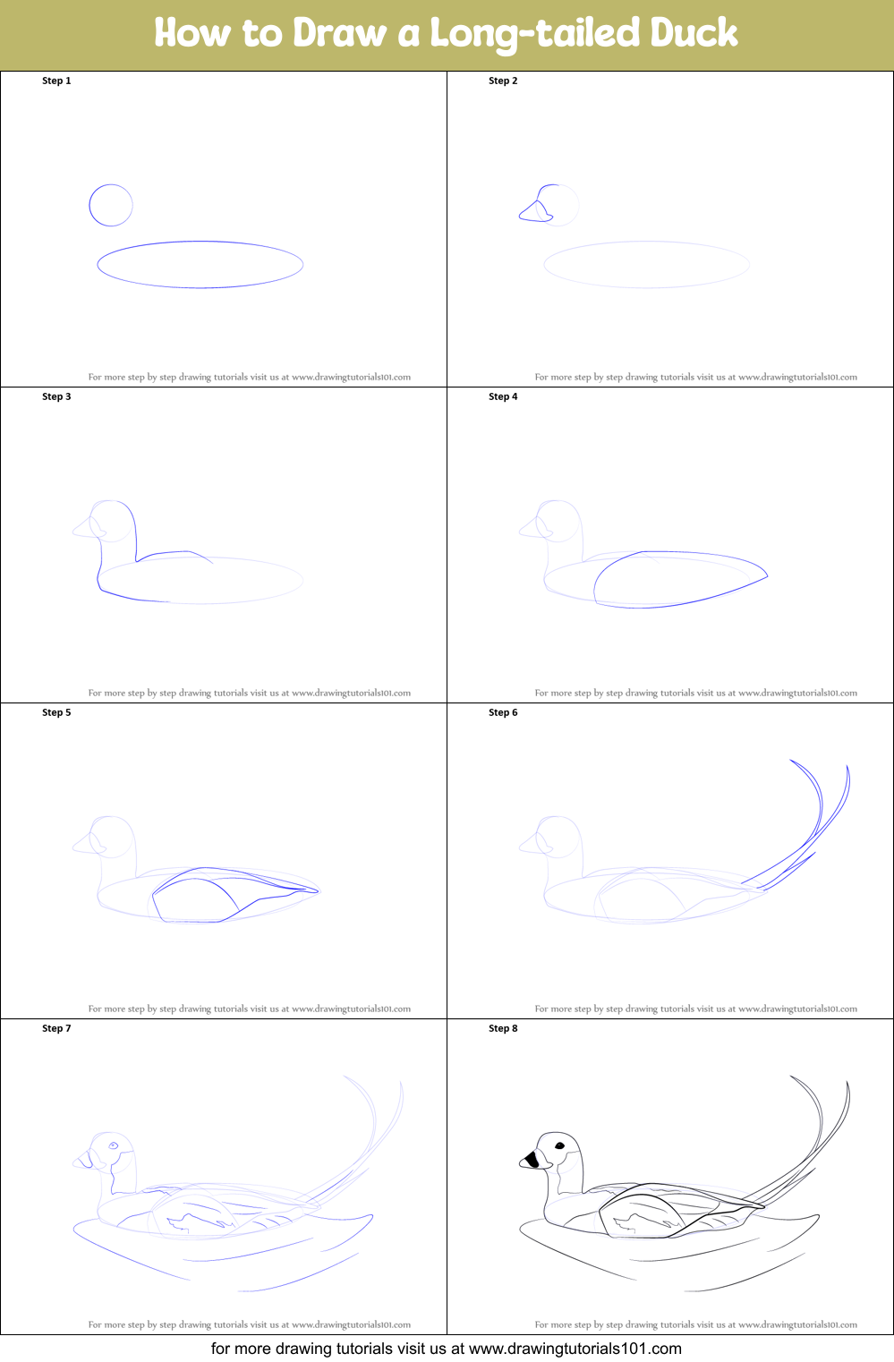 How to Draw a Long-tailed Duck Printable Step by Step