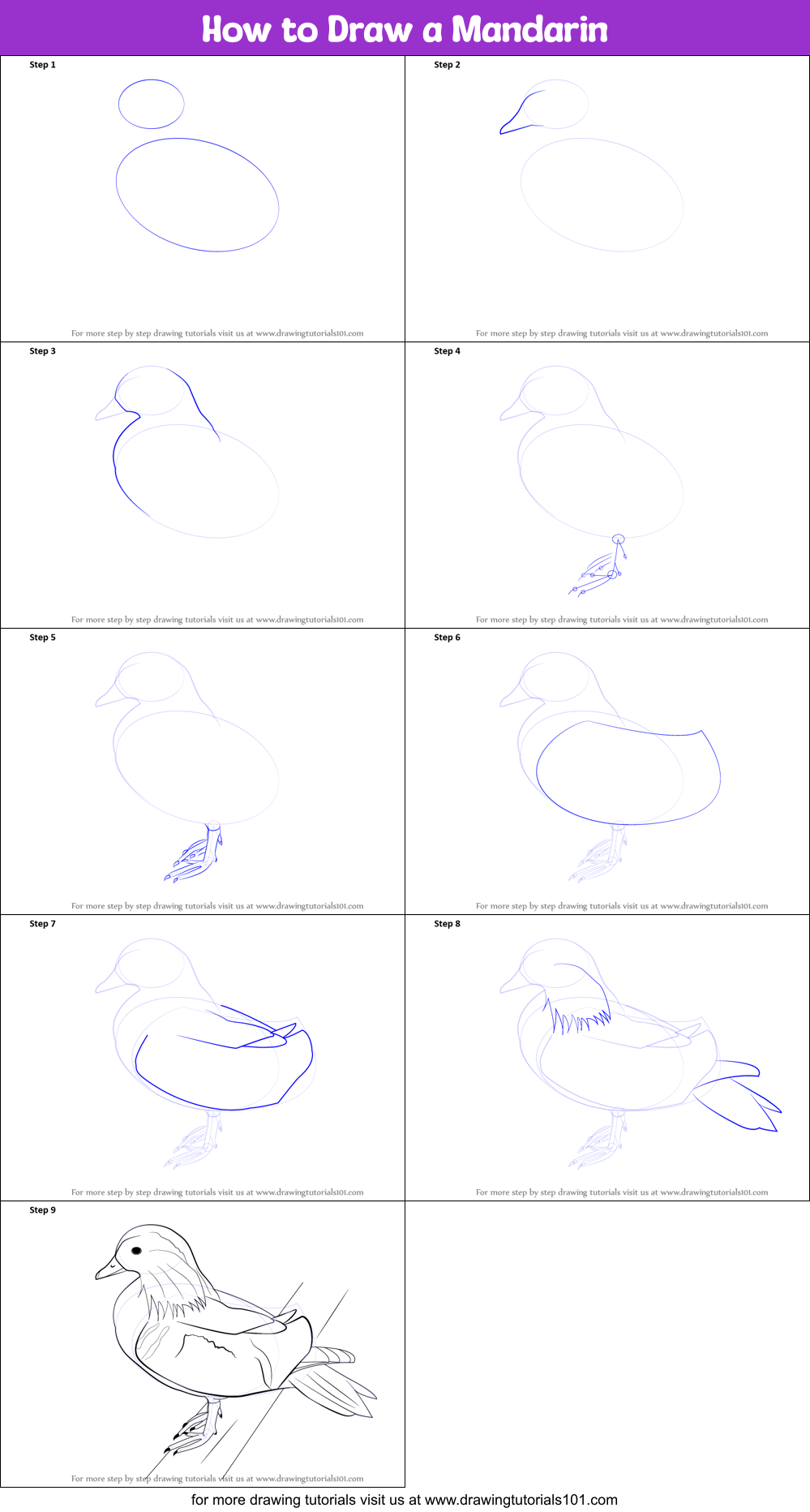 How to Draw a Mandarin Printable Step by Step