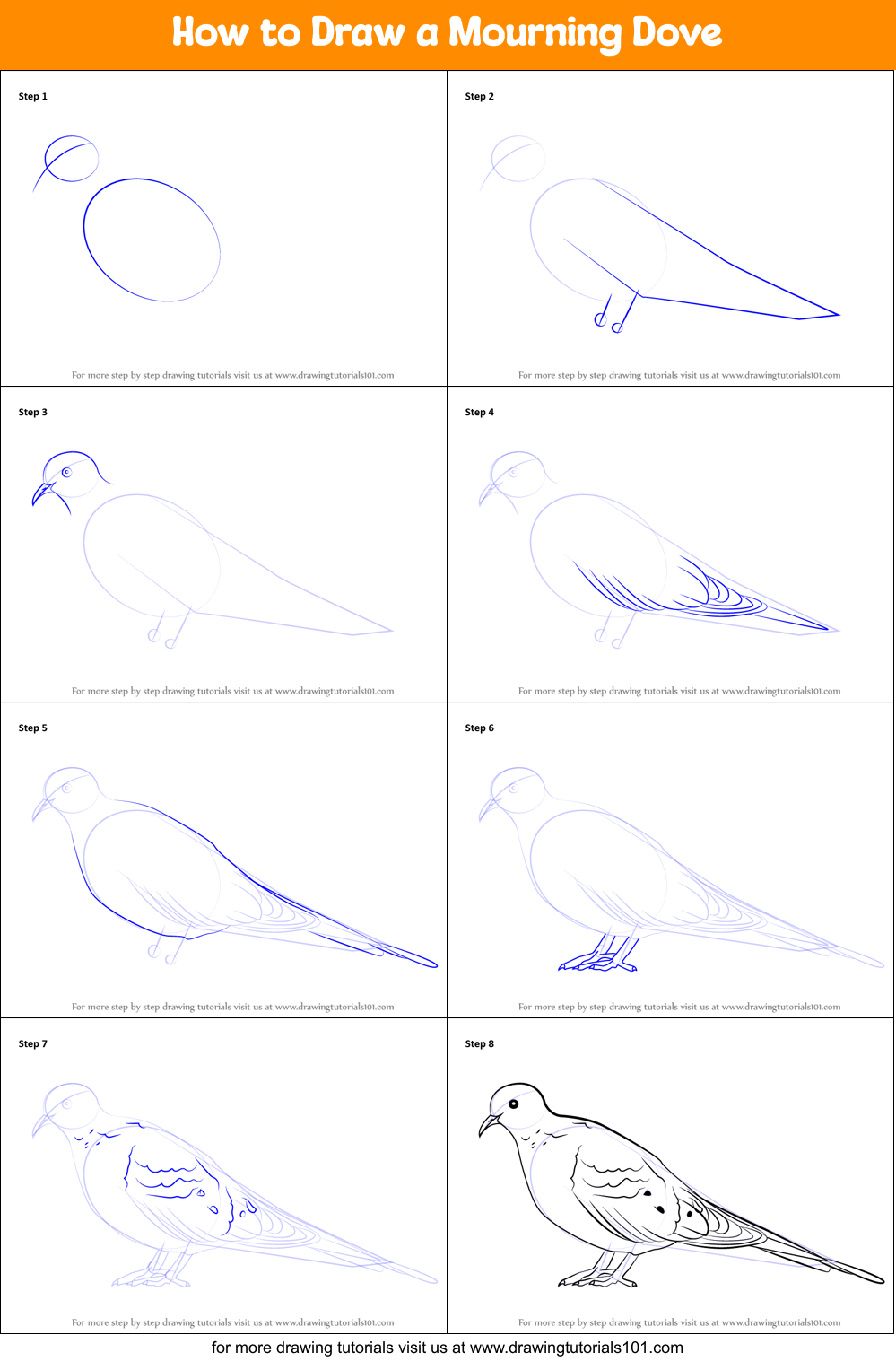 How to Draw a Mourning Dove Printable Step by Step