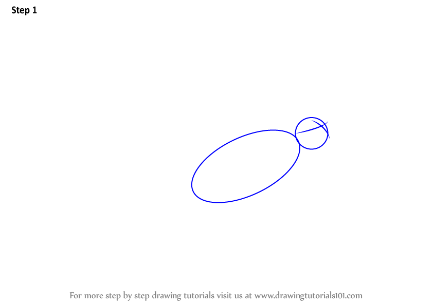 Learn How to Draw a Seagull Flying (Birds) Step by Step : Drawing Tutorials