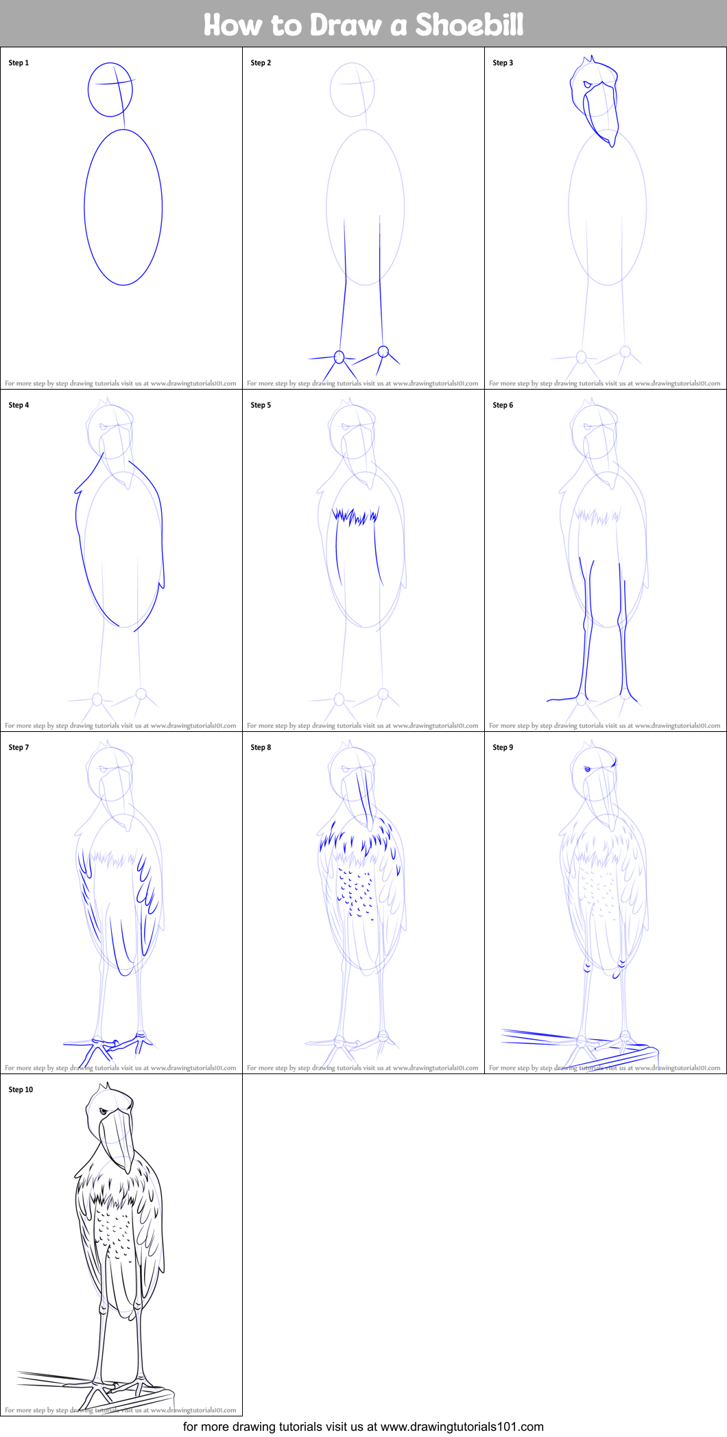 How to Draw a Shoebill Printable Step by Step