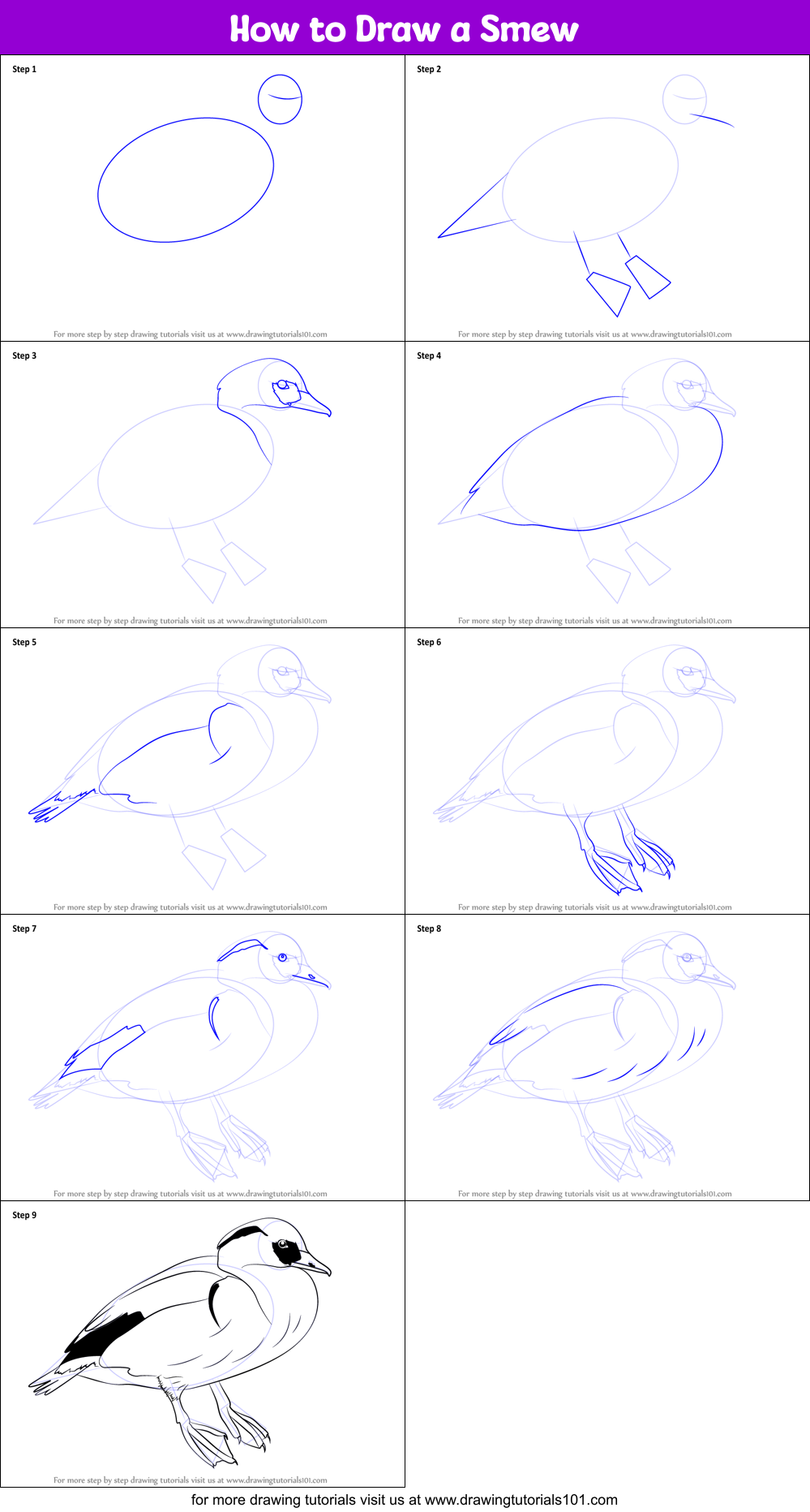 How to Draw a Smew Printable Step by Step